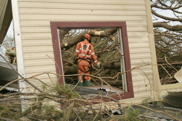 Best Commercial Tree Services  in Ashland, IL